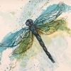 dragonflyandco